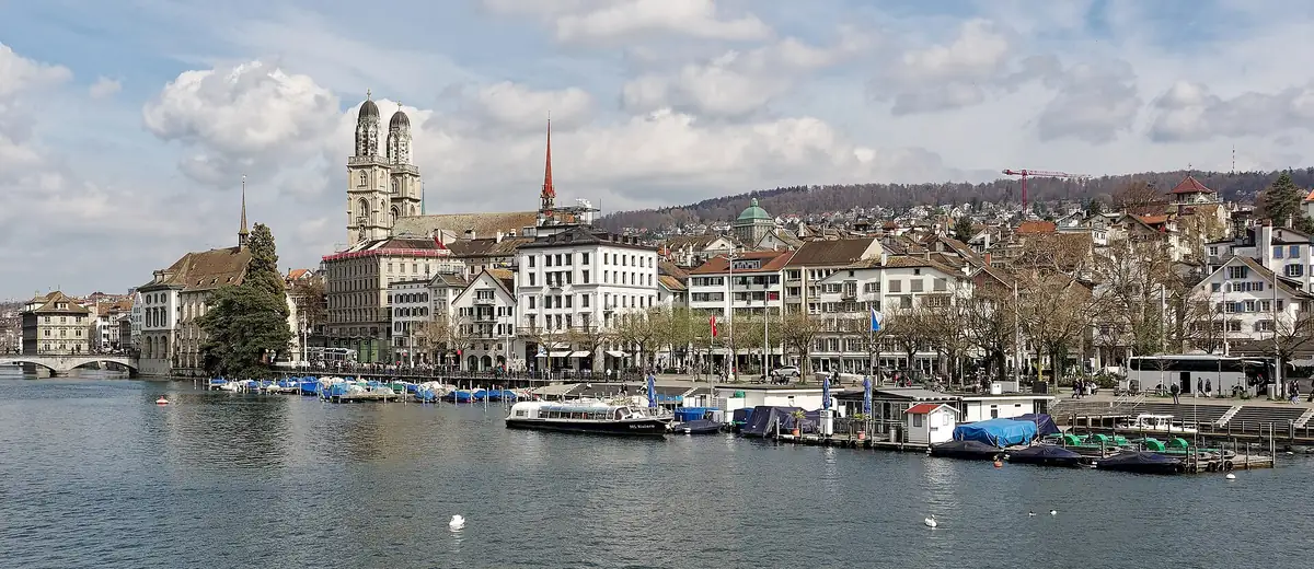 Swans on the Limmat river in front of Zurich's old town and Grossmünster towers
